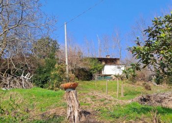 Casale Via Olmetto, 212, Bagnolo Piemonte - foto 21