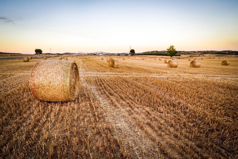 Agricultural land Cuneo - photo 1