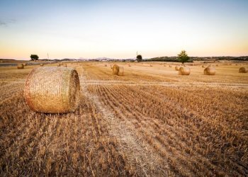Agricultural land Cuneo - photo 1