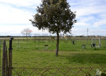 Portion of a house Lido di Classe, Ravenna, Ravenna (neighborhood Lido di Classe) - photo 41