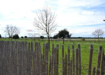 Portion of a house Lido di Classe, Ravenna, Ravenna (neighborhood Lido di Classe) - photo 42