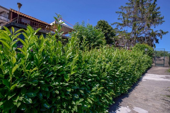 Mansarda Torino (zona Cit Turin) - foto 2