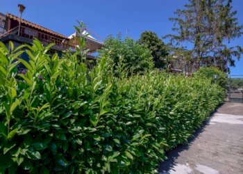 Mansarda Torino (zona Cit Turin) - foto 2