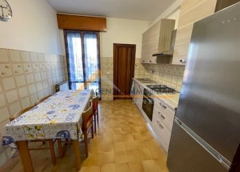 Terreno non edificabile Ravenna (zona Bosco Baronio) - foto 7