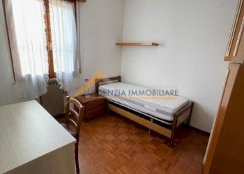 Terreno non edificabile Ravenna (zona Bosco Baronio) - foto 21