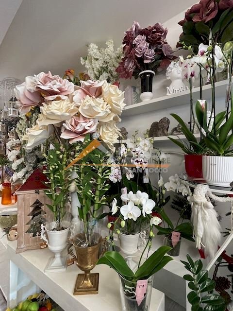 Shop Ravenna (neighborhood Viale Alberti) - photo 1