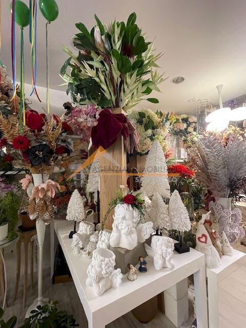 Shop Ravenna (neighborhood Viale Alberti) - photo 2