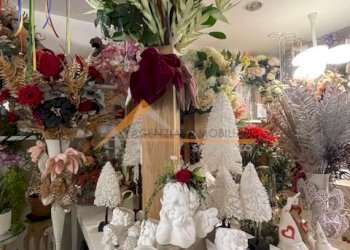 Shop Ravenna (neighborhood Viale Alberti) - photo 2