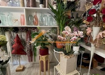 Shop Ravenna (neighborhood Viale Alberti) - photo 3