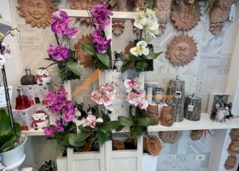 Shop Ravenna (neighborhood Viale Alberti) - photo 7