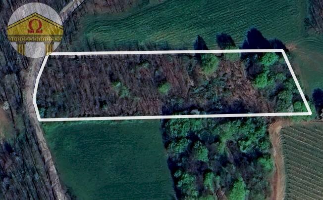 Foto 1 - Terreno agricolo Crocetta del Montello - foto 1