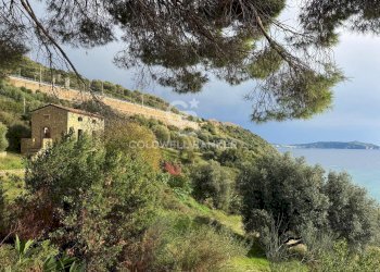 Foto 5 - Villa Località ficaiola
 
snc, Pisciotta - foto 5