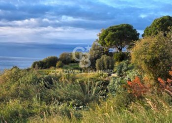 Foto 12 - Villa Località ficaiola
 
snc, Pisciotta - foto 12