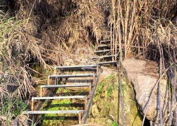 Foto 13 - Villa Località ficaiola
 
snc, Pisciotta - foto 13