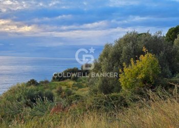 Foto 14 - Villa Località ficaiola
 
snc, Pisciotta - foto 14