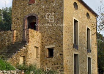 Foto 15 - Villa Località ficaiola
 
snc, Pisciotta - foto 15