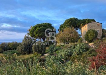 Foto 16 - Villa Località ficaiola
 
snc, Pisciotta - foto 16