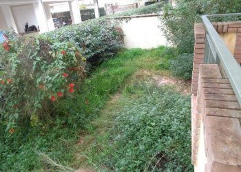 Giardino - Villa Via Madonna delle Grazie, Fondi - foto 18