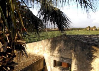 Giardino - Rustic VIA POZZO DI MAZZA
 
5, Siracusa - photo 15