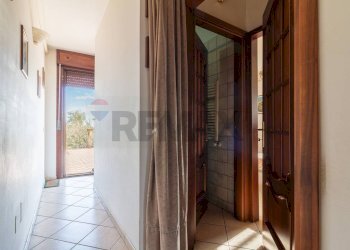 Hall / corridoio - Independent house Strada Castrense km 9, 800
 
snc, Canino - photo 30