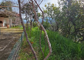 Foto 19 - Casa semi indipendente VIA 1 MAGGIO, Casarza Ligure - foto 19