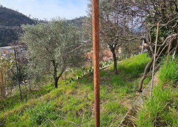 Foto 21 - Casa semi indipendente VIA 1 MAGGIO, Casarza Ligure - foto 21