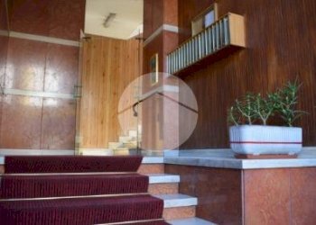 Appartamento Corso Grosseto, Torino (zona Madonna Campagna) - foto 5