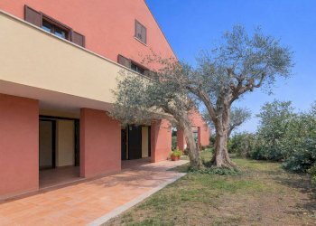 Foto 57 - Casa indipendente Via Serra Di Sotto
38, Montefiore Conca - foto 57