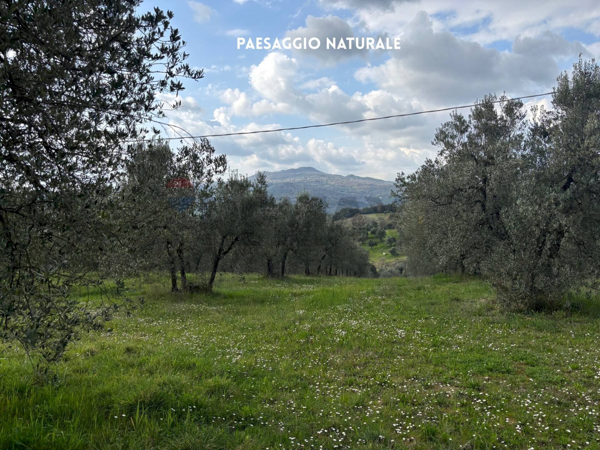 Vista delle montagne - Terreno agricolo STRADA PROVINCIALE LOC. MONTECALVO
 
snc, Roccastrada - foto 1