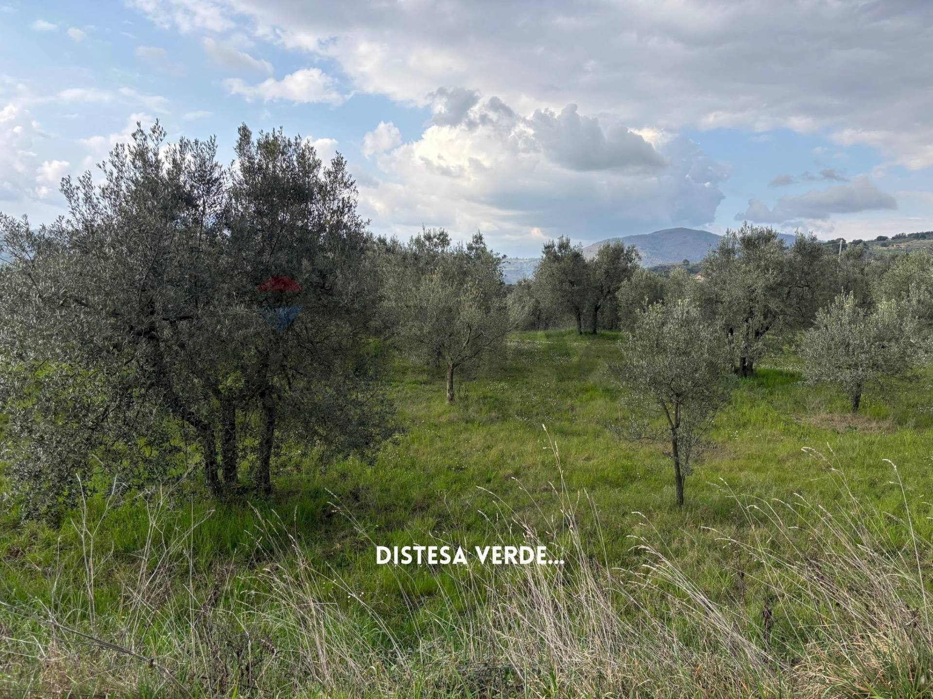 Giardino - Terreno agricolo STRADA PROVINCIALE LOC. MONTECALVO
 
snc, Roccastrada - foto 2