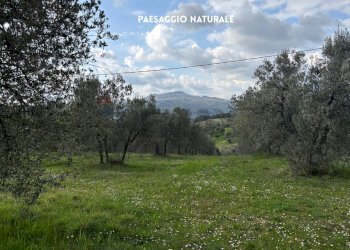 Vista delle montagne - Terreno agricolo STRADA PROVINCIALE LOC. MONTECALVO
 
snc, Roccastrada - foto 1
