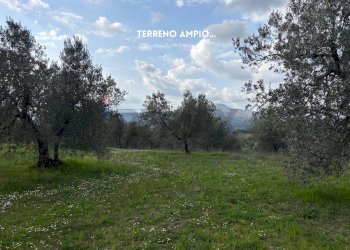 Giardino - Terreno agricolo STRADA PROVINCIALE LOC. MONTECALVO
 
snc, Roccastrada - foto 3