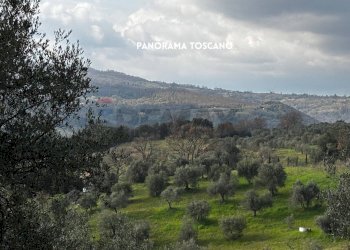 Vista delle montagne - Terreno agricolo STRADA PROVINCIALE LOC. MONTECALVO
 
snc, Roccastrada - foto 7
