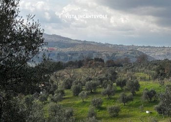 Vista delle montagne - Terreno agricolo STRADA PROVINCIALE LOC. MONTECALVO
 
snc, Roccastrada - foto 12