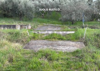 Giardino - Terreno agricolo STRADA PROVINCIALE LOC. MONTECALVO
 
snc, Roccastrada - foto 13