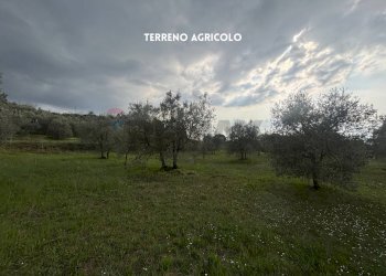 Giardino - Terreno agricolo STRADA PROVINCIALE LOC. MONTECALVO
 
snc, Roccastrada - foto 15