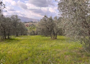 Giardino - Terreno agricolo STRADA PROVINCIALE LOC. MONTECALVO
 
snc, Roccastrada - foto 18