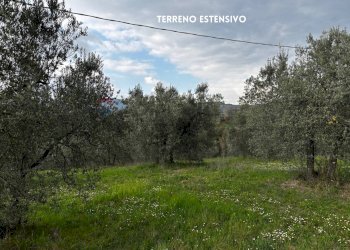 Giardino - Terreno agricolo STRADA PROVINCIALE LOC. MONTECALVO
 
snc, Roccastrada - foto 20