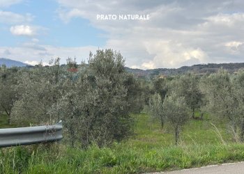 Vista delle montagne - Terreno agricolo STRADA PROVINCIALE LOC. MONTECALVO
 
snc, Roccastrada - foto 22