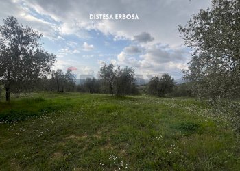 Giardino - Terreno agricolo STRADA PROVINCIALE LOC. MONTECALVO
 
snc, Roccastrada - foto 23