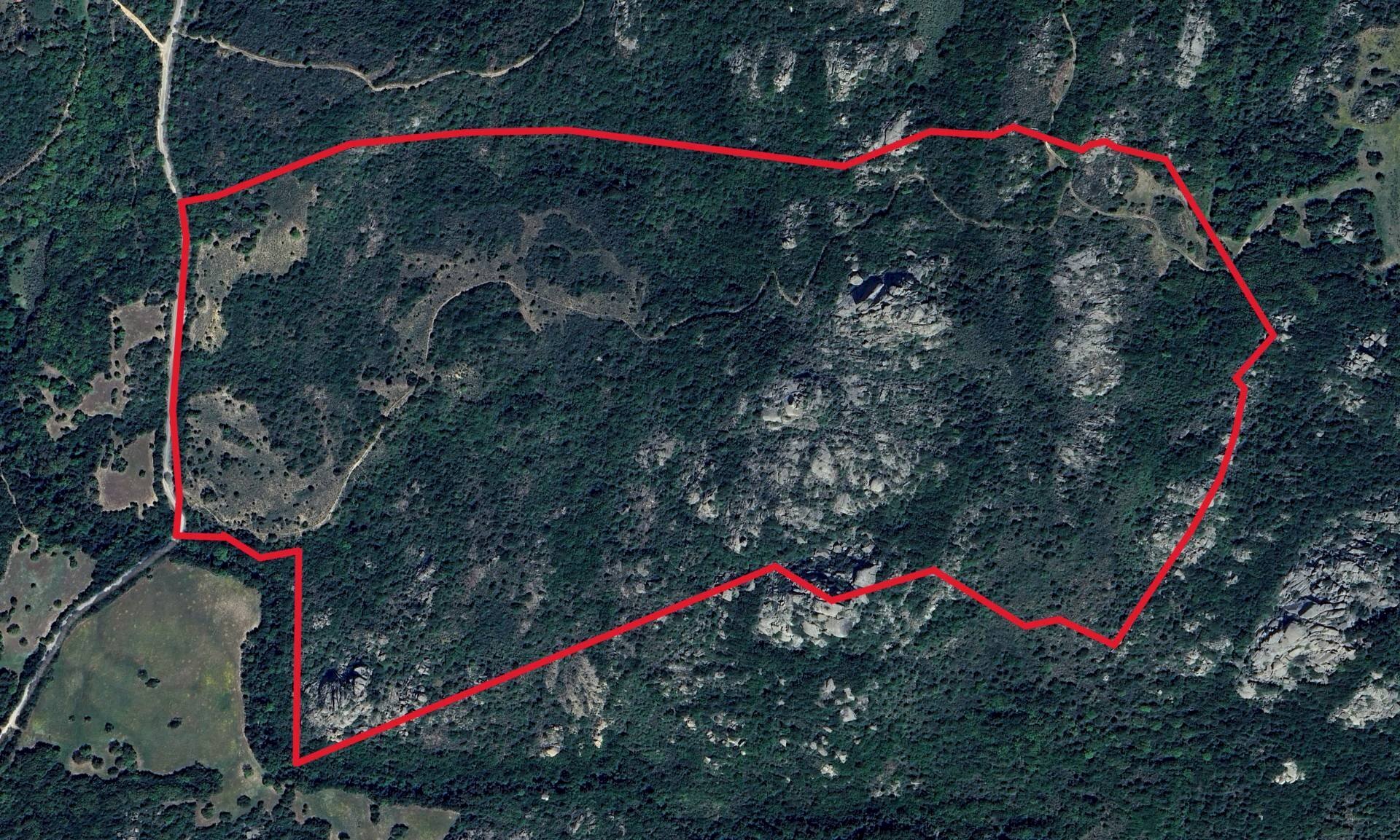 Foto 1 - Terreno agricolo Aglientu - foto 1