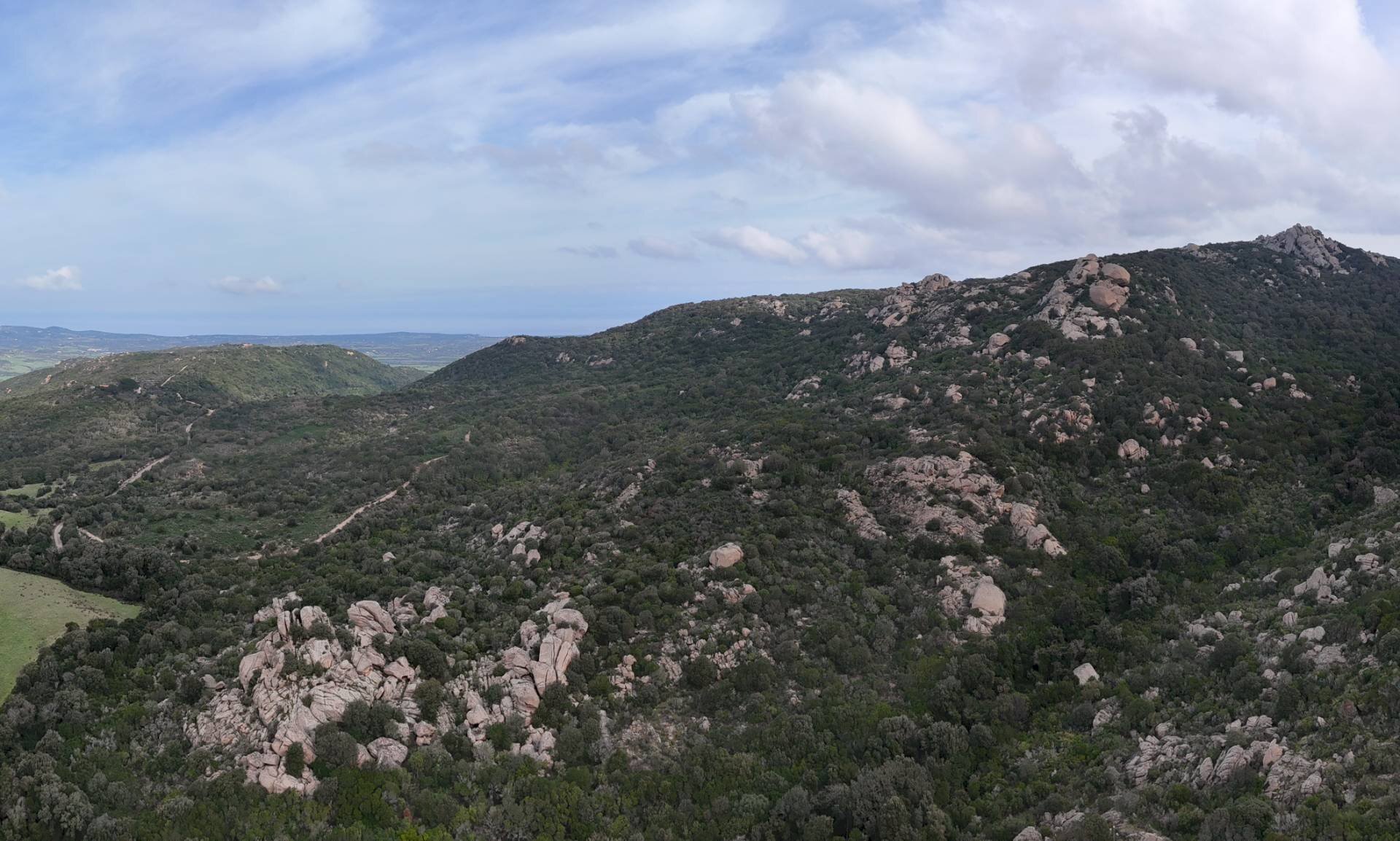 Foto 3 - Terreno agricolo Aglientu - foto 3