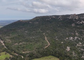 Foto 2 - Terreno agricolo Aglientu - foto 2