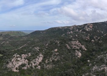 Foto 3 - Terreno agricolo Aglientu - foto 3