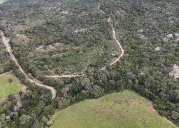 Foto 4 - Terreno agricolo Aglientu - foto 4