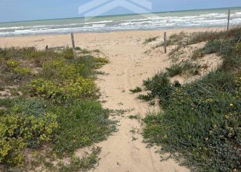 Foto 13 - Three-room apartment Litorale Nord, Termoli - photo 13