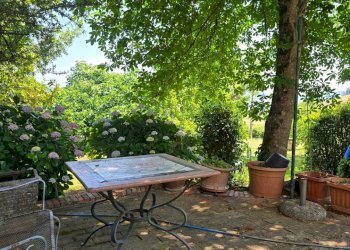 giardino (4).jpg - Rustico Località San Giorgio 3, Proceno - foto 22