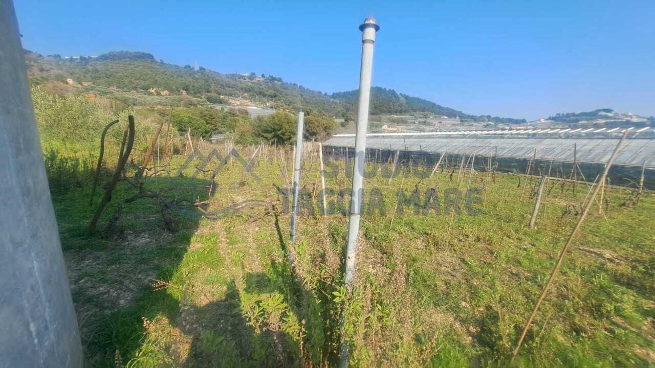 1.jpeg - Agricultural land Strada Collette Beulle, Sanremo - photo 1