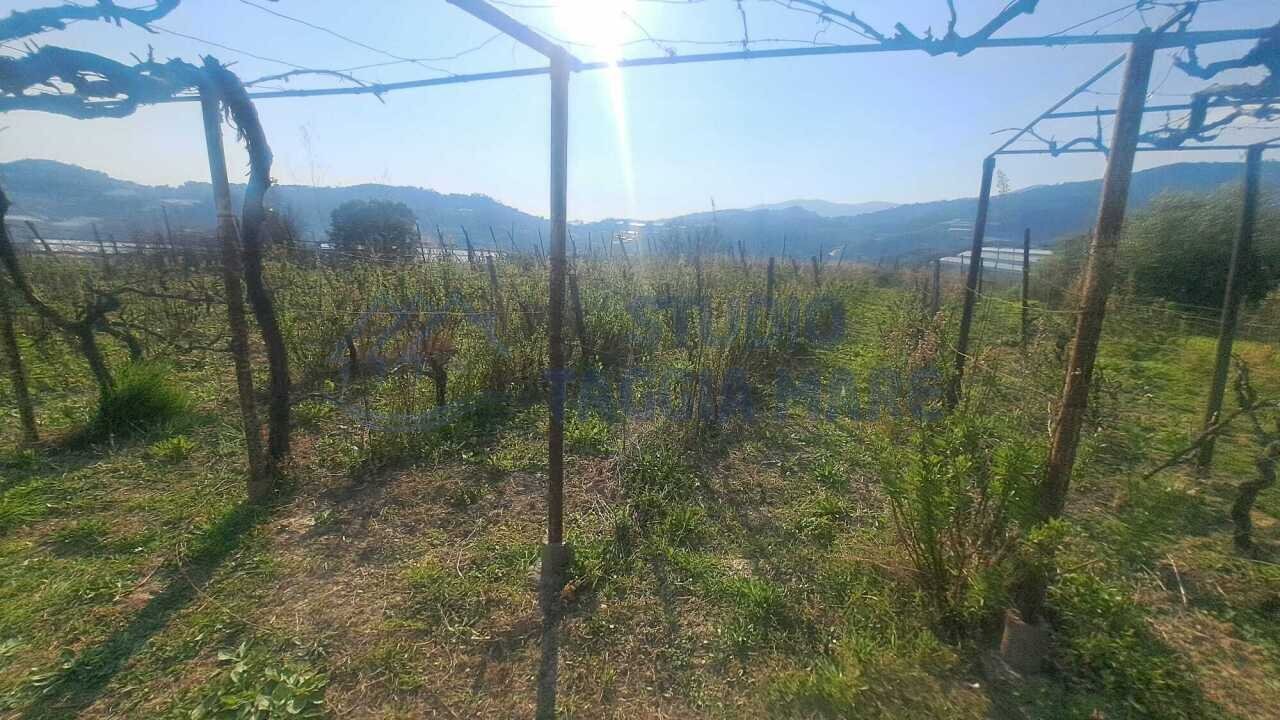 2.jpeg - Agricultural land Strada Collette Beulle, Sanremo - photo 2