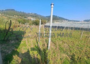 1.jpeg - Agricultural land Strada Collette Beulle, Sanremo - photo 1